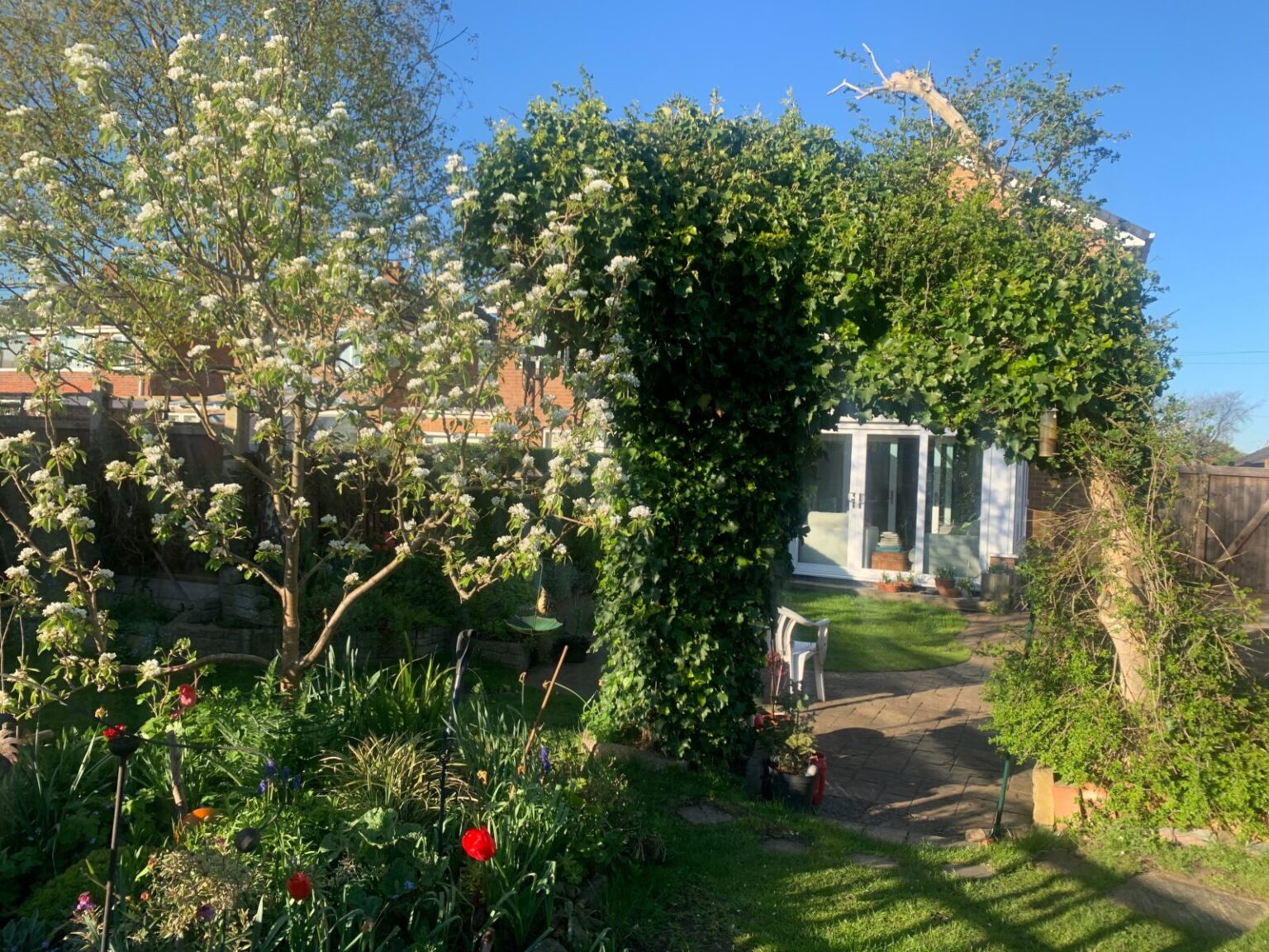 50 Appleton Road NG9 1NE - Beeston and Chilwell Garden Trail